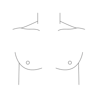 Shoulder Shape - Regular Icon