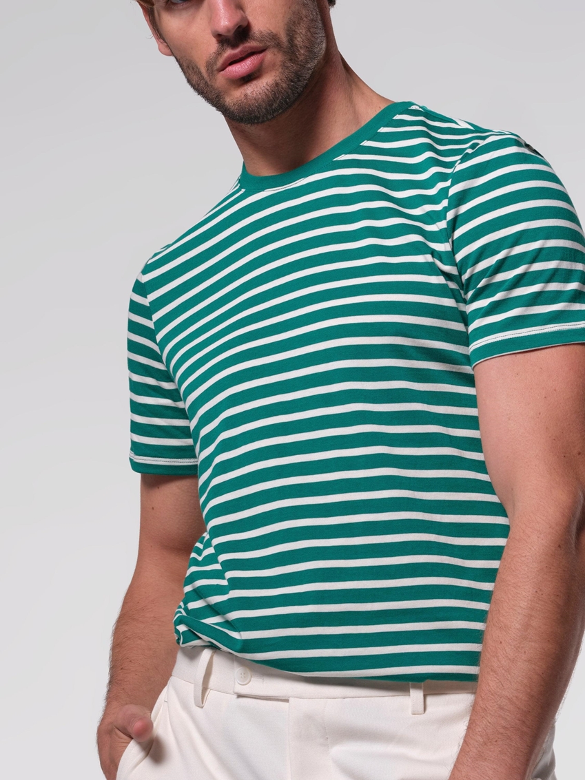 Yarn Dyed Stripe Cotton Jersey Crewneck T-Shirt - Green and White
