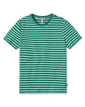 Yarn Dyed Stripe Cotton Jersey Crewneck T-Shirt - Green / White
